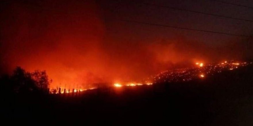 Katil Esed orman yangınlarıyla baş edemiyor