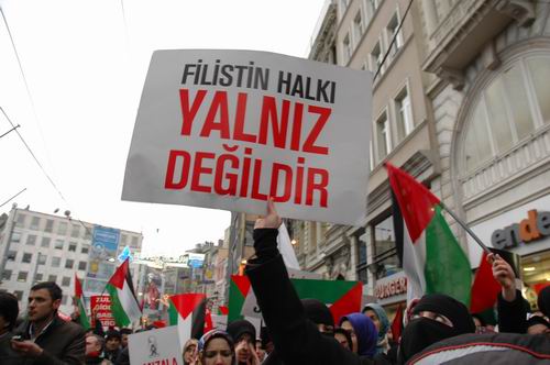 Diyarbakır’dan Gazze Direnişine Selam