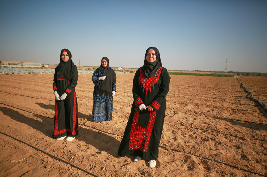 Gazze'de işsiz üniversite mezunları, tarıma yöneldi