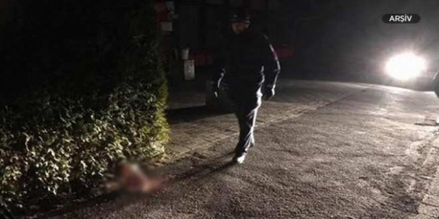 Fransa'da bir camiye domuz kafası bırakıldı