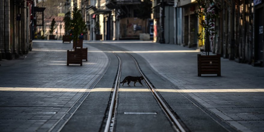 İçişleri Bakanlığı'ndan 81 ile koronavirüs genelgesi