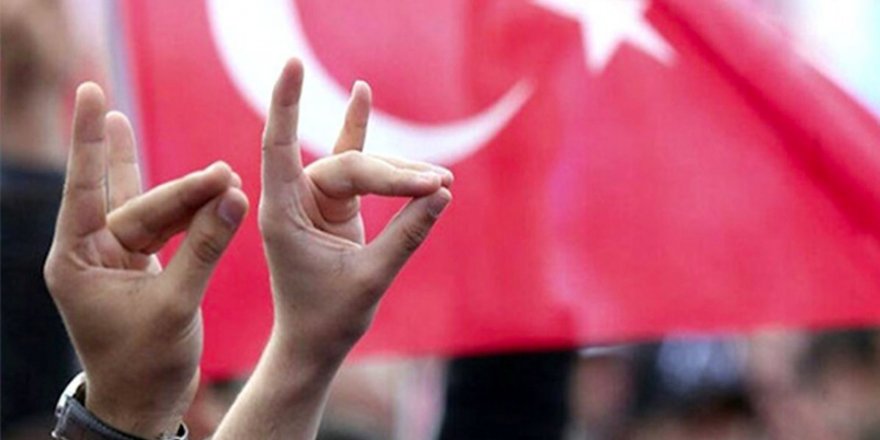 Almanya'dan 'ülkücü hareket'e bağlı derneklerin yasaklanması talebi