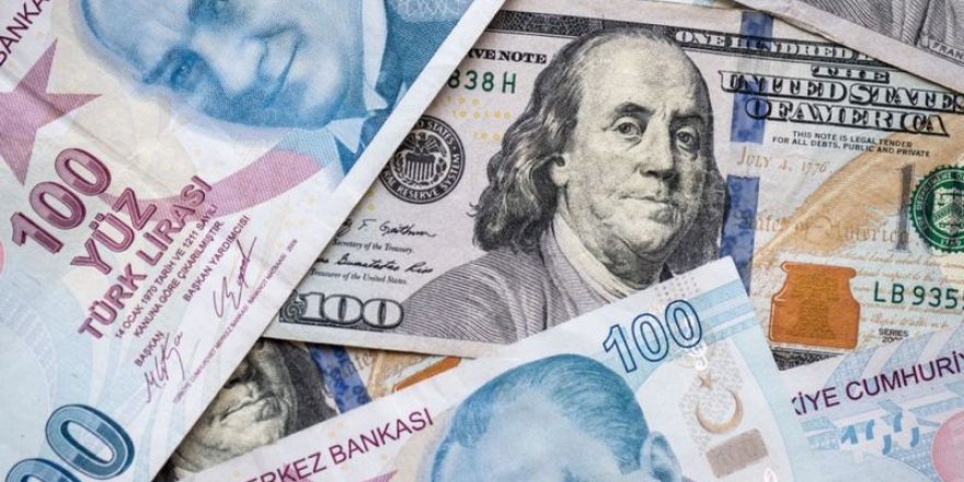 8,36 TL’ye yükselen Dolar ekonomiyi nasıl etkileyecek?