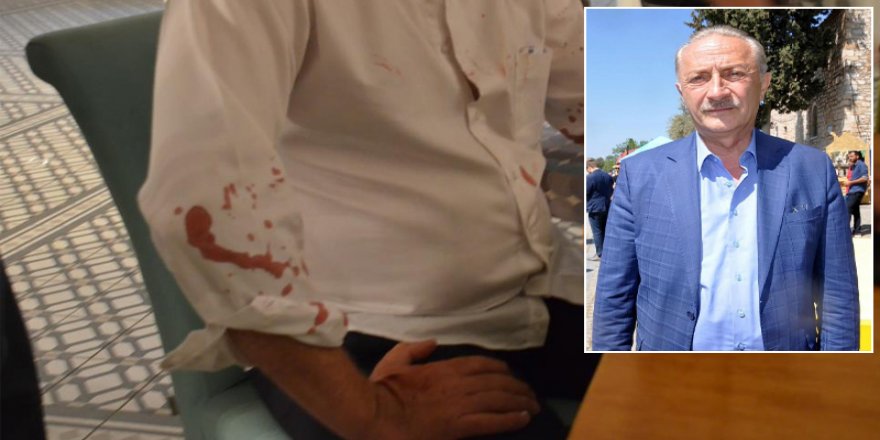 Didim’de tecavüz ithamı ve sopalı saldırıların arkasında ne var?