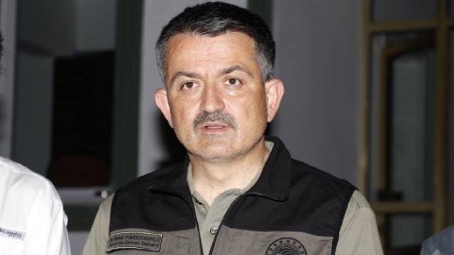 Bakan Pakdemirli: Tüm yangınları kontrol altına aldık