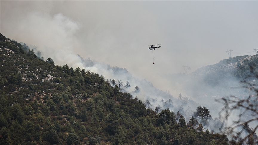 Yunanistan’da orman yangınlarında 1 milyon 300 bin dönümlük alan kül oldu