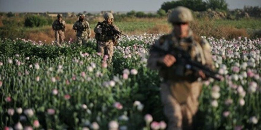 Afganistan’da uyuşturucuyu kim üretiyor?