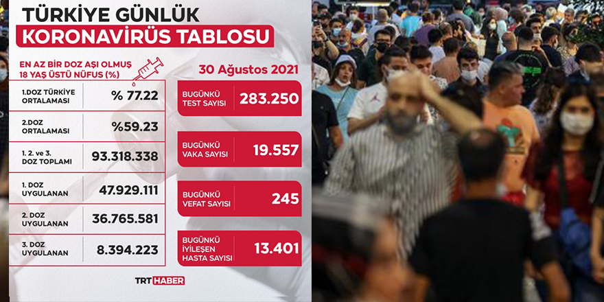 Türkiye'de son 24 saatte 245 kişi hayatını kaybetti