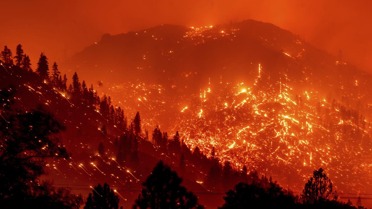 California'da orman yangını kalabalık nüfuslu yerlere ilerliyor