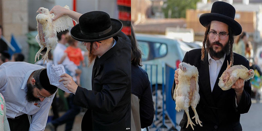 Yahudiler günahlarını tavuklara yüklemeye devam ediyor!