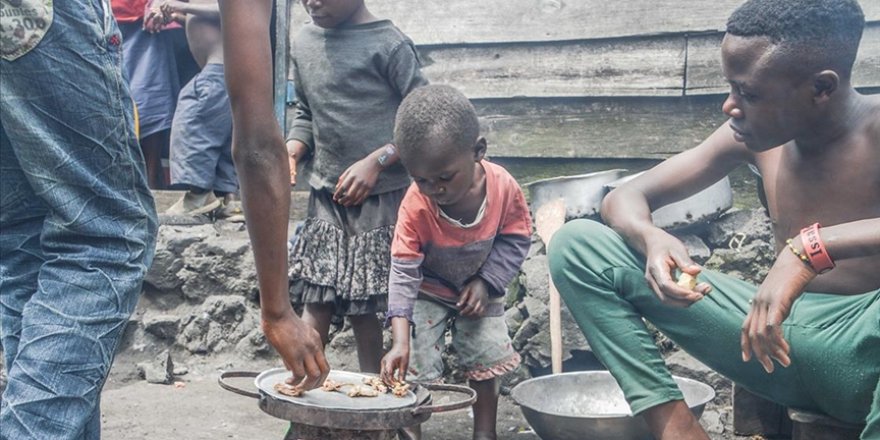 Nijerya'da 10 milyondan fazla yerinden edilmiş kişi gıda güvensizliğiyle karşı karşıya