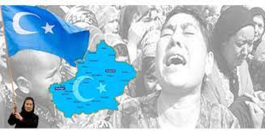 Doğu Türkistanlılar, Dünya İnsan Hakları Gününde dünyaya çağrıda bulunacak