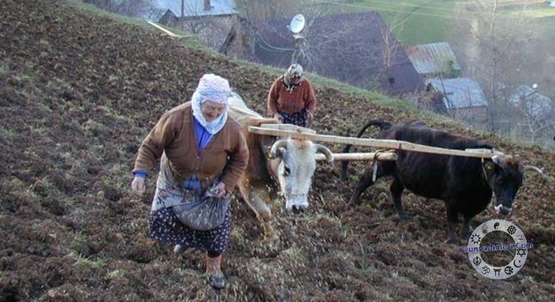 Rızık, kader ve tevekkül ilişkisi