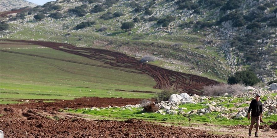 Siyonist İsrail ordusu, Ürdün Vadisi’nde tatbikat yapmak için Filistinlilerin tarlalarını yok ediyor