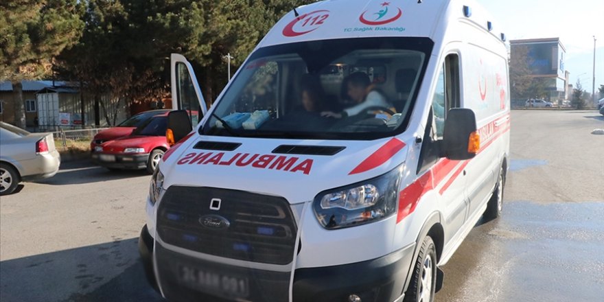 Antalya'da pitbull dehşeti