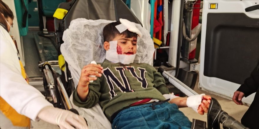 Mardin'de köpeklerin saldırısına uğrayan çocuk ağır yaralandı