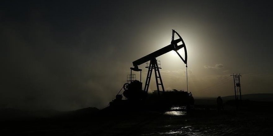 Nijerya, Türkiye'yi ülkesindeki petrol ve doğal gaza yatırıma çağırdı