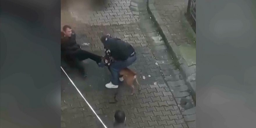 İstanbul'da pitbull cinsi köpeğin saldırdığı genç yaralandı