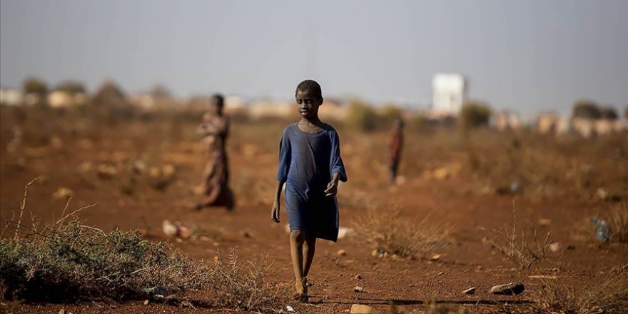 Uluslararası Göç Örgütü: Somali kuraklığa bağlı kıtlık riskiyle karşı karşıya