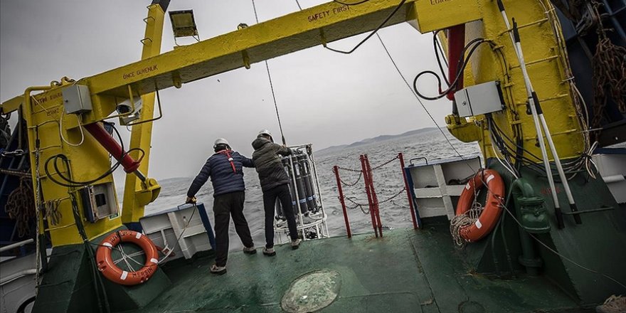 Marmara Denizi'ndeki 'oksijen azlığı' alarm veriyor
