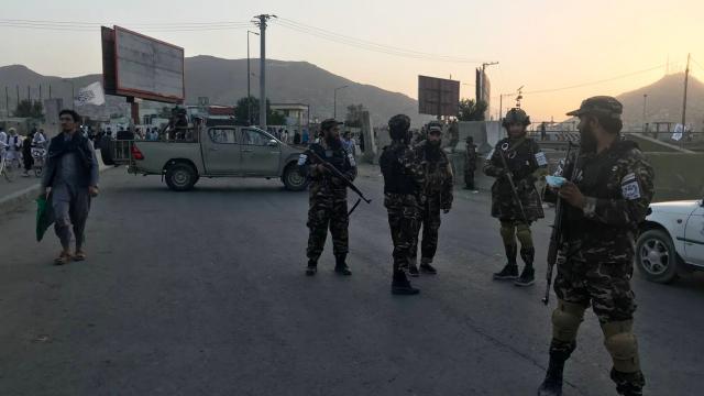 Taliban: Haşhaş tarlalarını yok edeceğiz