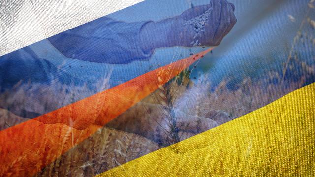 Polonya ve Macaristan, Ukrayna’dan tahıl ithalatını durdurdu