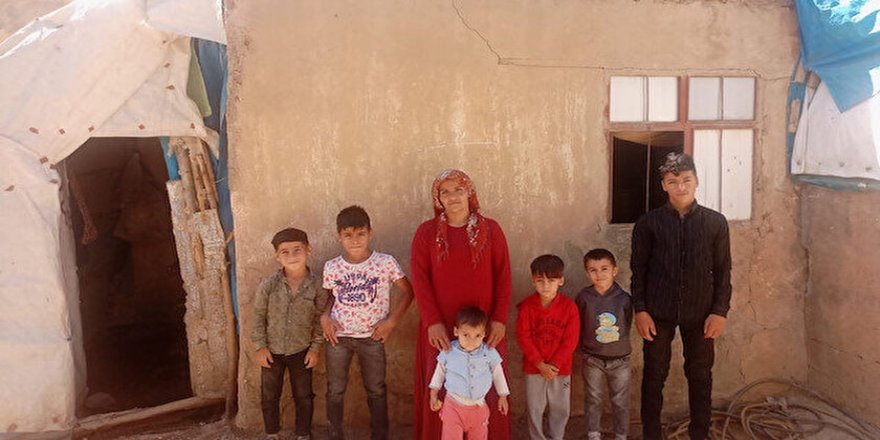 Bakanlıktan 'Tek odalı evde 6 çocuklu kadın' haberine açıklama