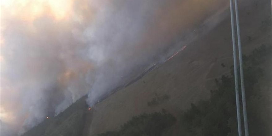 Kazakistan’da çıkan orman yangınında 1 kişi öldü, 100'den fazla ev zarar gördü
