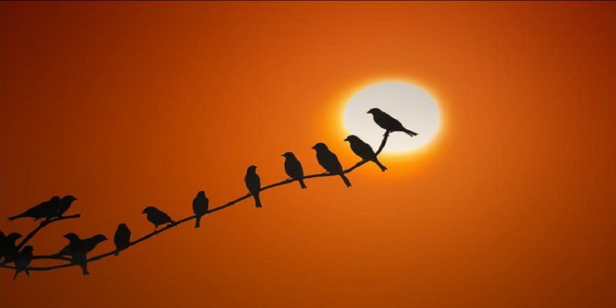 "Emaneti unutan insanın varlıkla ortak dili koptu"