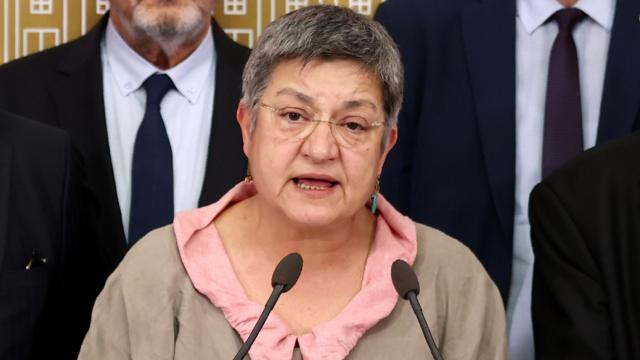 “TSK kimyasal silah kullandı” diyen TTB Başkanı Fincancı'ya soruşturma