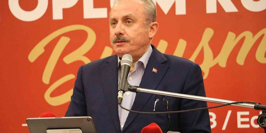 Şentop'tan Prens Harry'e Afganistan tepkisi