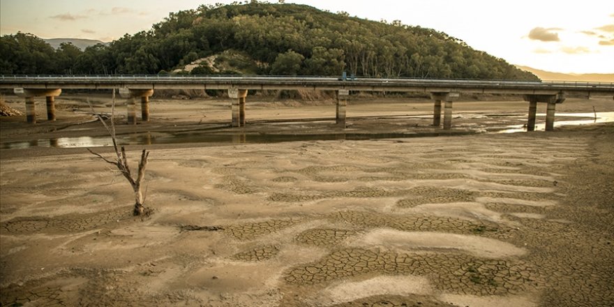 Tunus'ta kuraklık su kaynaklarını tehdit ediyor