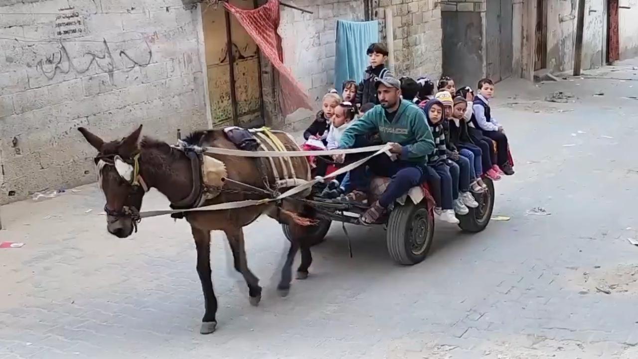 Gazze'de eşek arabasıyla okul servisi