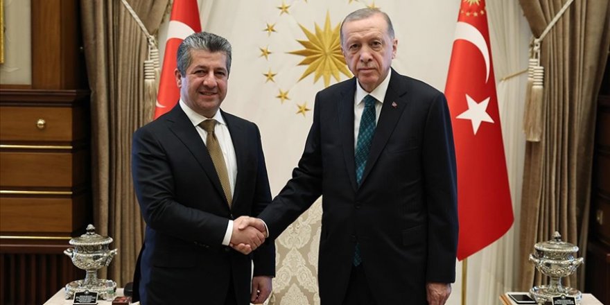 Cumhurbaşkanı Erdoğan, IKBY Başbakanı Mesrur Barzani'yi kabul etti