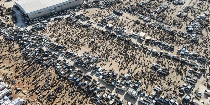 İdlib'de kurulan kurban pazarlarında hareketlilik başladı