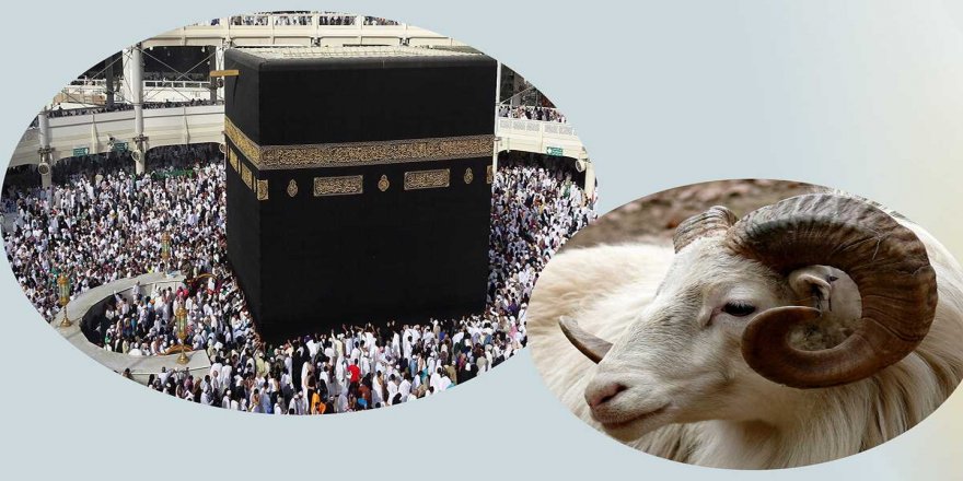 Adayışın diğer adı: Kurban