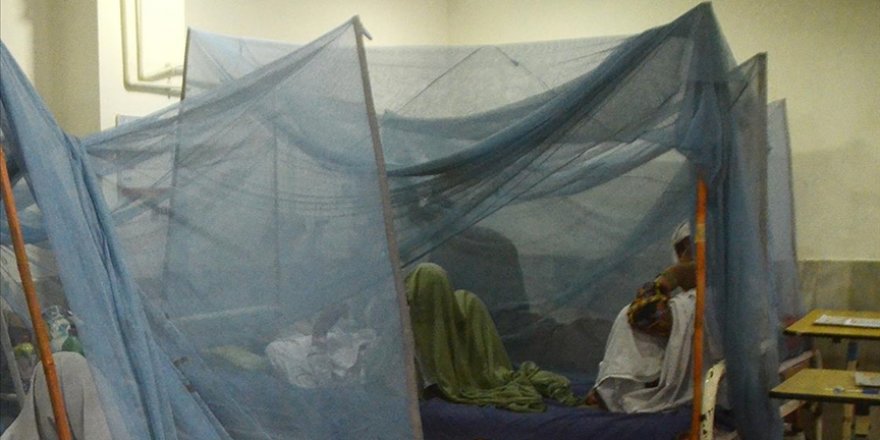 Bangladeş'te dang hummasından ölenlerin sayısı 300'ü aştı