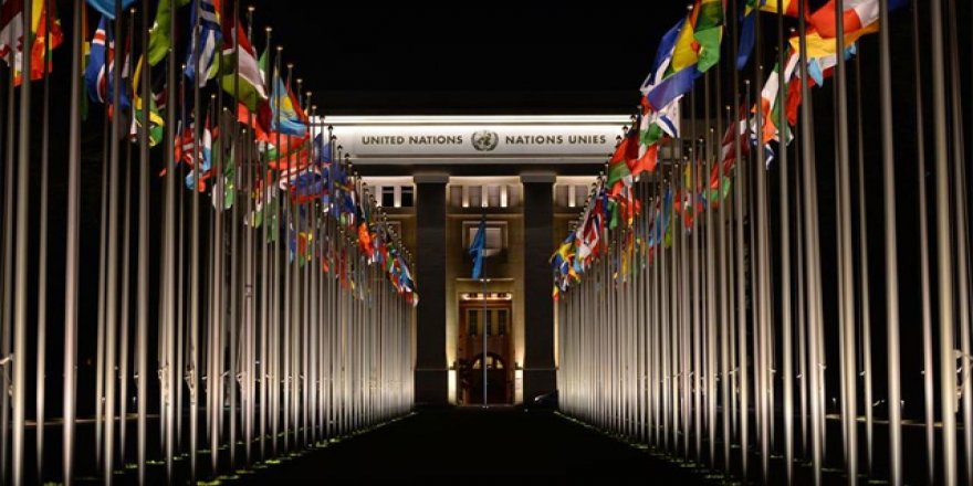 BM'nin yapısı ve ırkçılıkla mücadelenin zorunluluğu