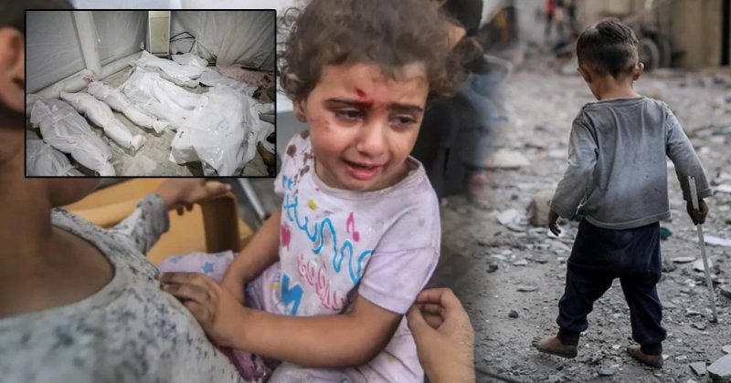 Yahudi insan hakları örgütü siyonistleri suçladı