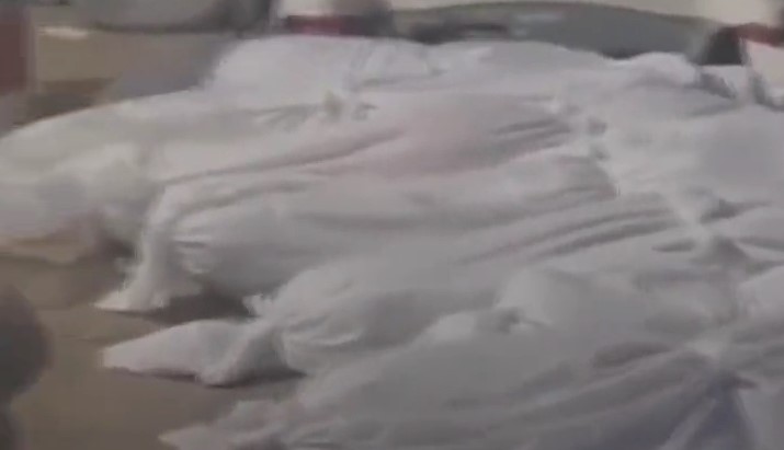 Şifa hastanesinin bahçesindeki naaşları köpekler parçalıyor