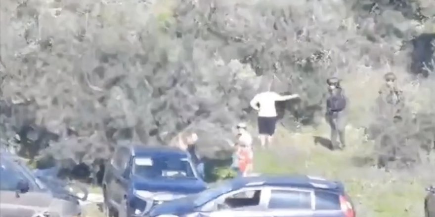 Siyonist yerleşimciler, işgal askerlerinin eşliğinde Filistinlilerin zeytinliklerini talan etti