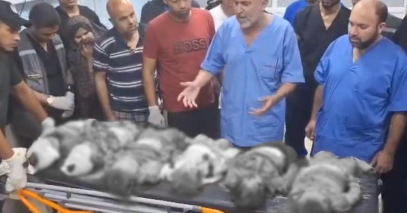 Katledilen bebeğe oyuncak diyen siyonist yönetici görevinden ayrıldı