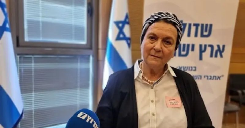 Yasadışı yerleşim savunucusu Gazze planlarını anlattı