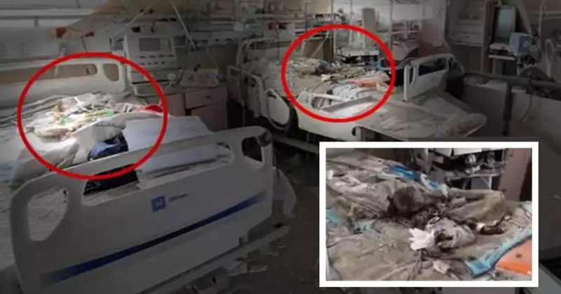 Nasır Hastanesinde çürüyen bebeklerin görgü tanığı AA'ya konuştu