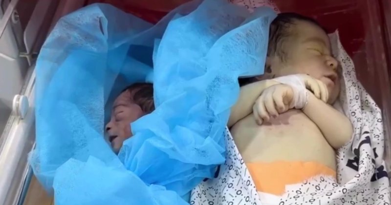Gazze'de, Ramazanın ilk günü 2 bebek açlıktan öldü