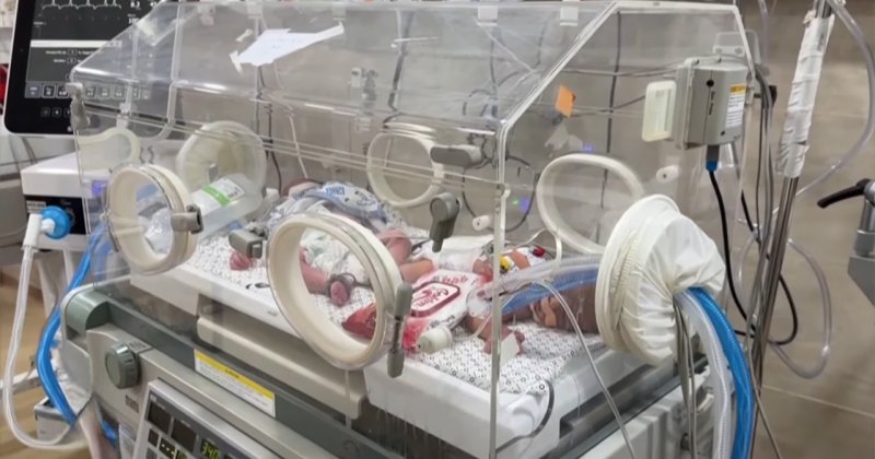 Gazze'nin kuzeyinde her üç çocuktan biri yetersiz besleniyor