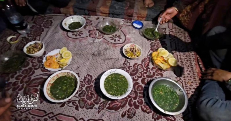 Filistinlilerin toplayıp yediği otlar ne kadar zararlı?