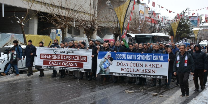 Bingöl’de “Gazze’ye destek” yürüyüşü gerçekleştirildi