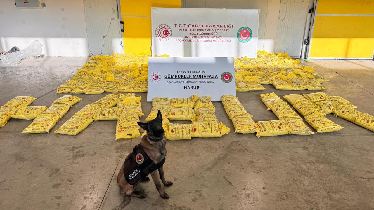 Habur Gümrük Kapısı'nda 850 kilogram eroin ele geçirildi