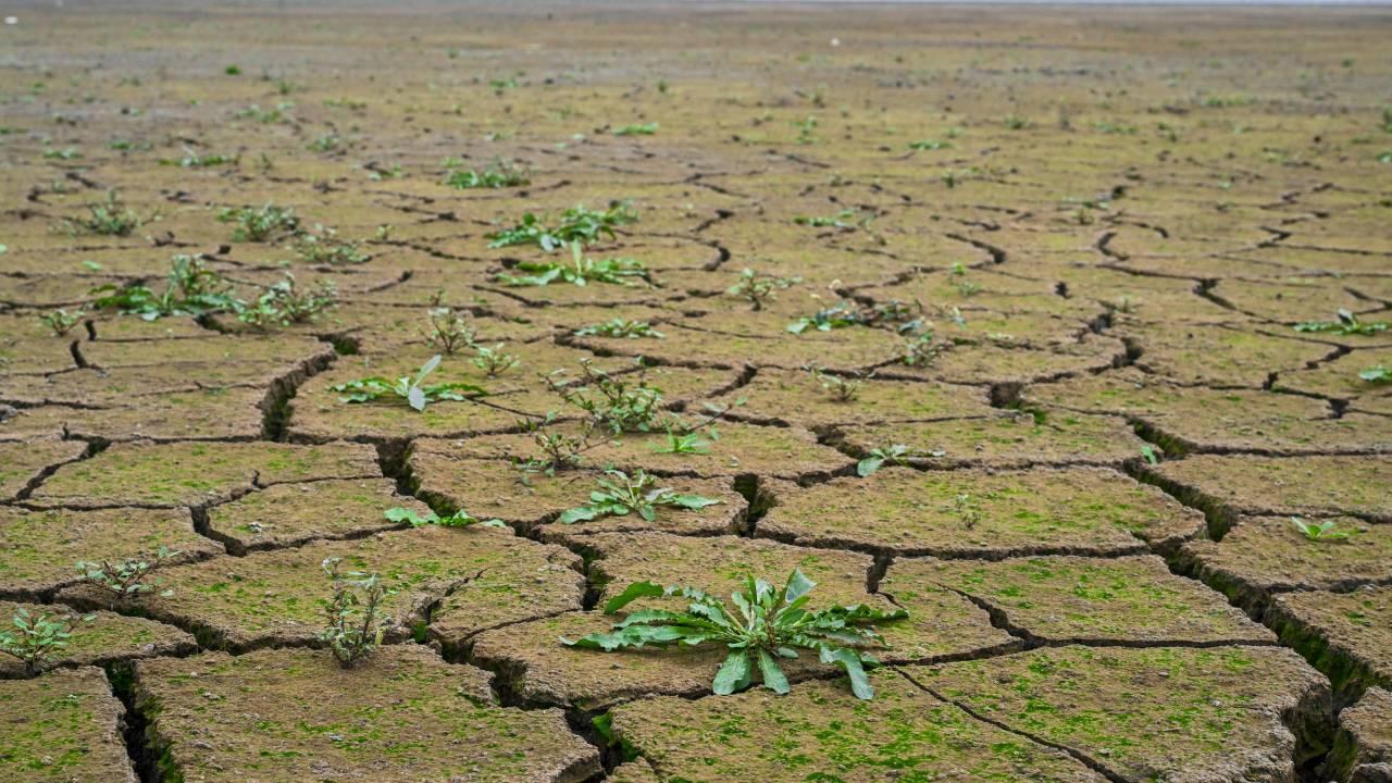Zimbabve'de kuraklık nedeniyle ulusal afet ilan edildi